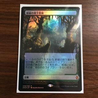 新緑の地下墓地　foil