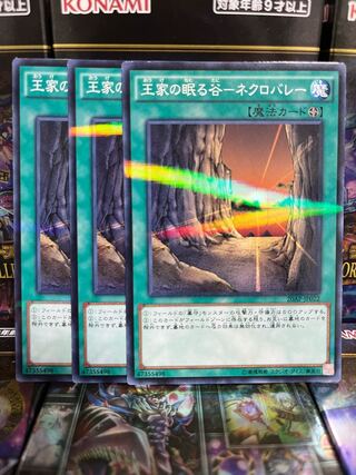 遊戯王スタジオ 3546 王家の眠る谷-ネクロバレー パラレル ノーマル JP022
