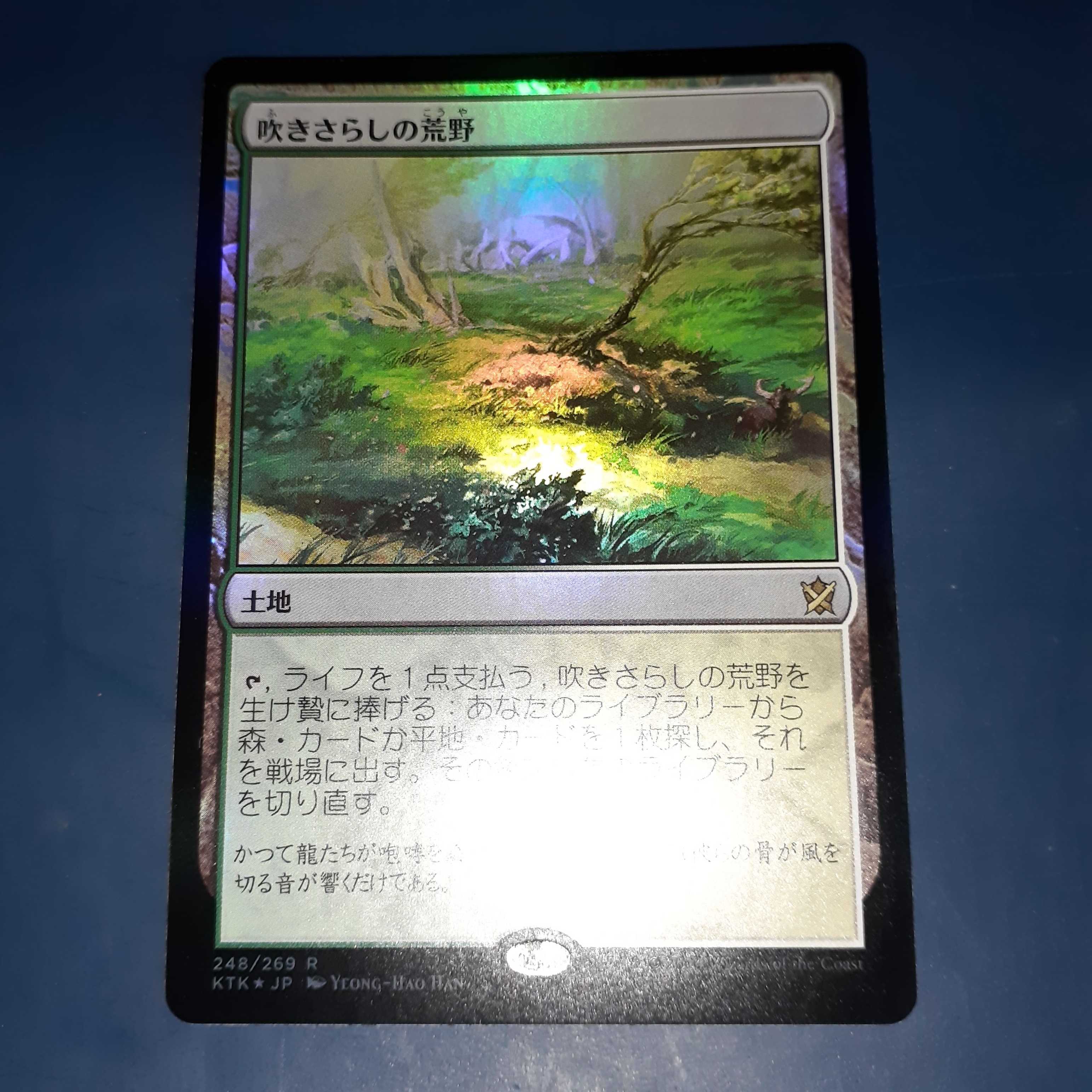 FOIL・吹きさらしの荒野　日1枚