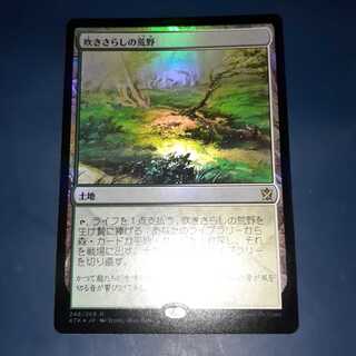 FOIL・吹きさらしの荒野　日1枚