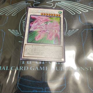 アクセルシンクロ・スターダスト・ドラゴン シークレットレア