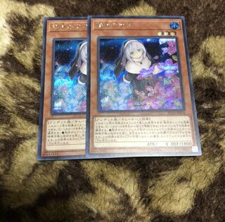 儚無みずき　絵違いシークレット　レアリティコレクション