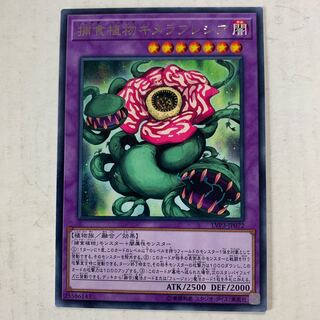 遊戯王　捕食植物キメラフレシア　字レア　1枚