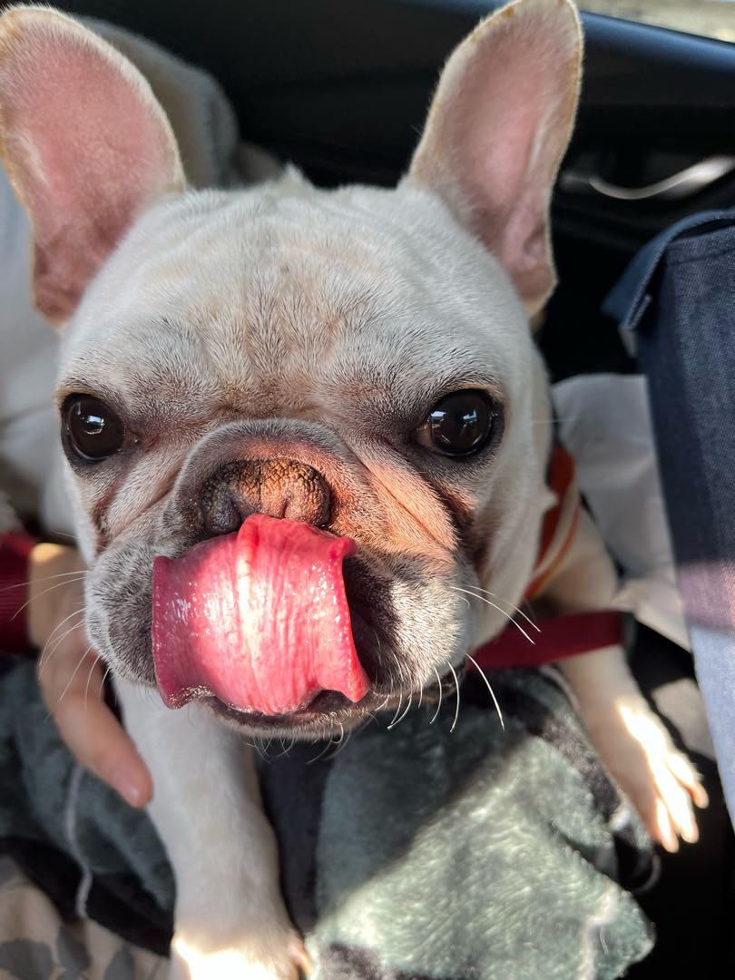 アド確？おりぱ？