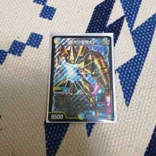 雷光の聖騎士(ライトニングソードパラディン)