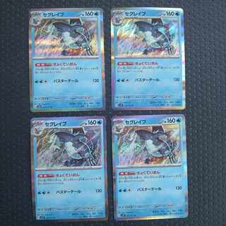 セグレイブ R 027/071　　4枚