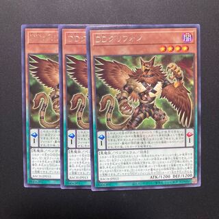 DD Griffon Rare 3 pieces