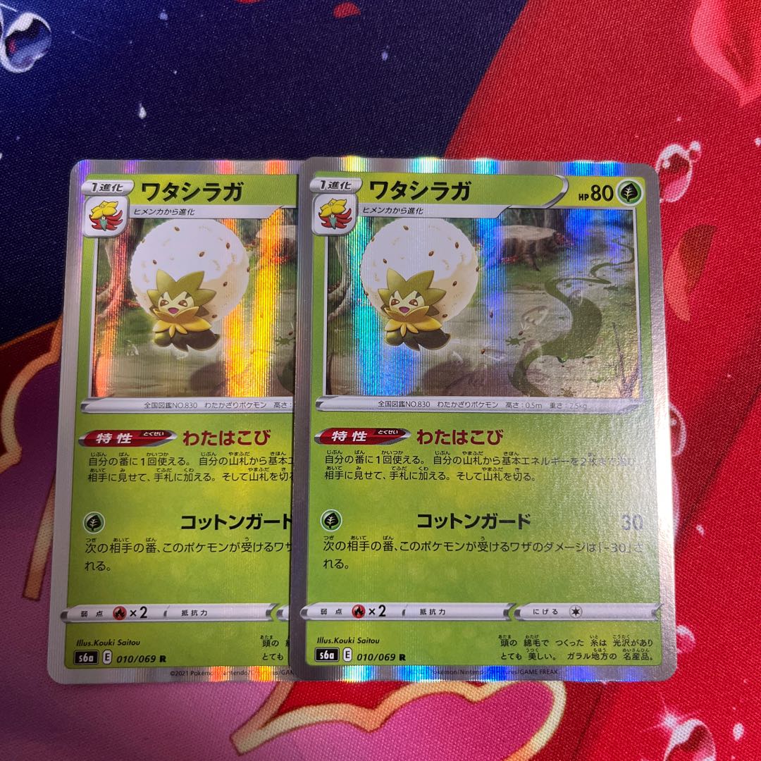 ☆即日発送☆ ワタシラガ、ヒメンカ 4枚セット