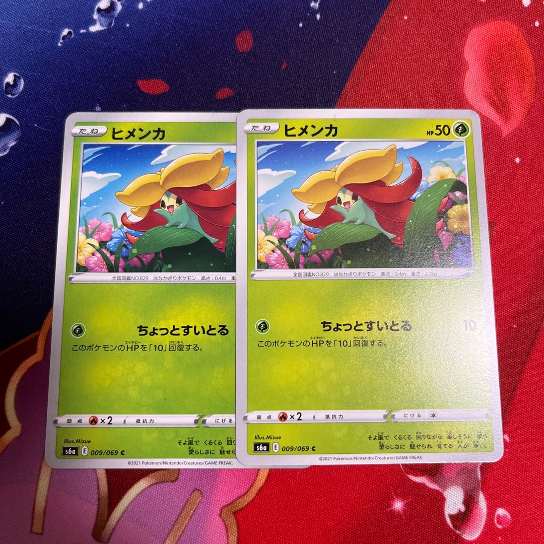 ☆即日発送☆ ワタシラガ、ヒメンカ 4枚セット