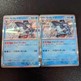 【特価】セグレイブ R 027/071