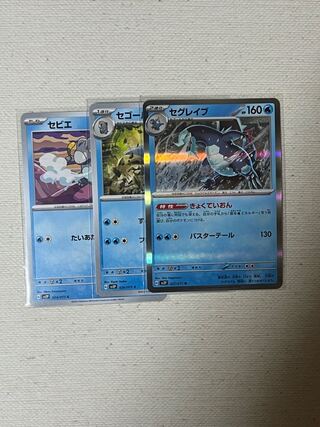 セグレイブ R 027/071