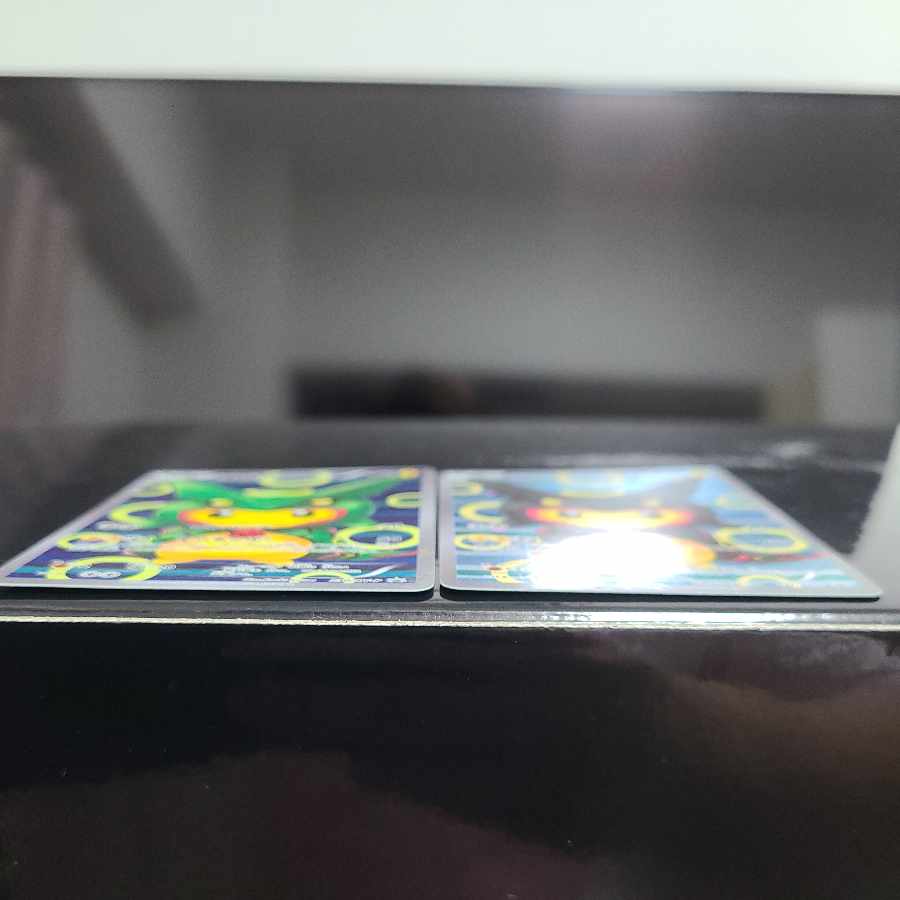 Pikachu Rayquaza in a poncho