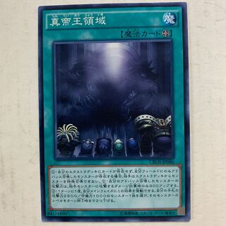 遊戯王　真帝王領域　1枚