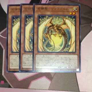 Hundred Apple Dragon - Ringo Blum Rare JP029 3 copies