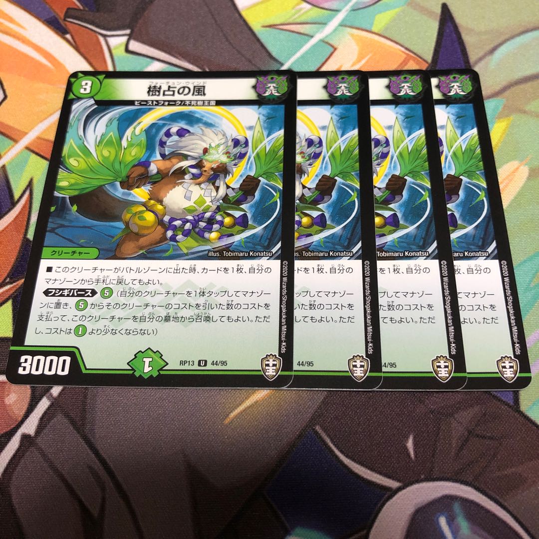 wind that blows from north to north-east during spring and summer along the coast of the Sea of Japan