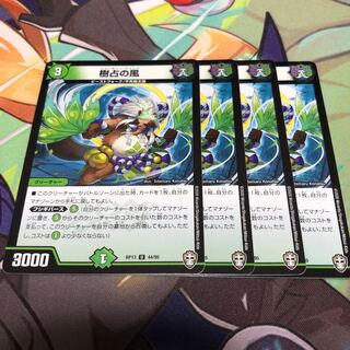 wind that blows from north to north-east during spring and summer along the coast of the Sea of Japan