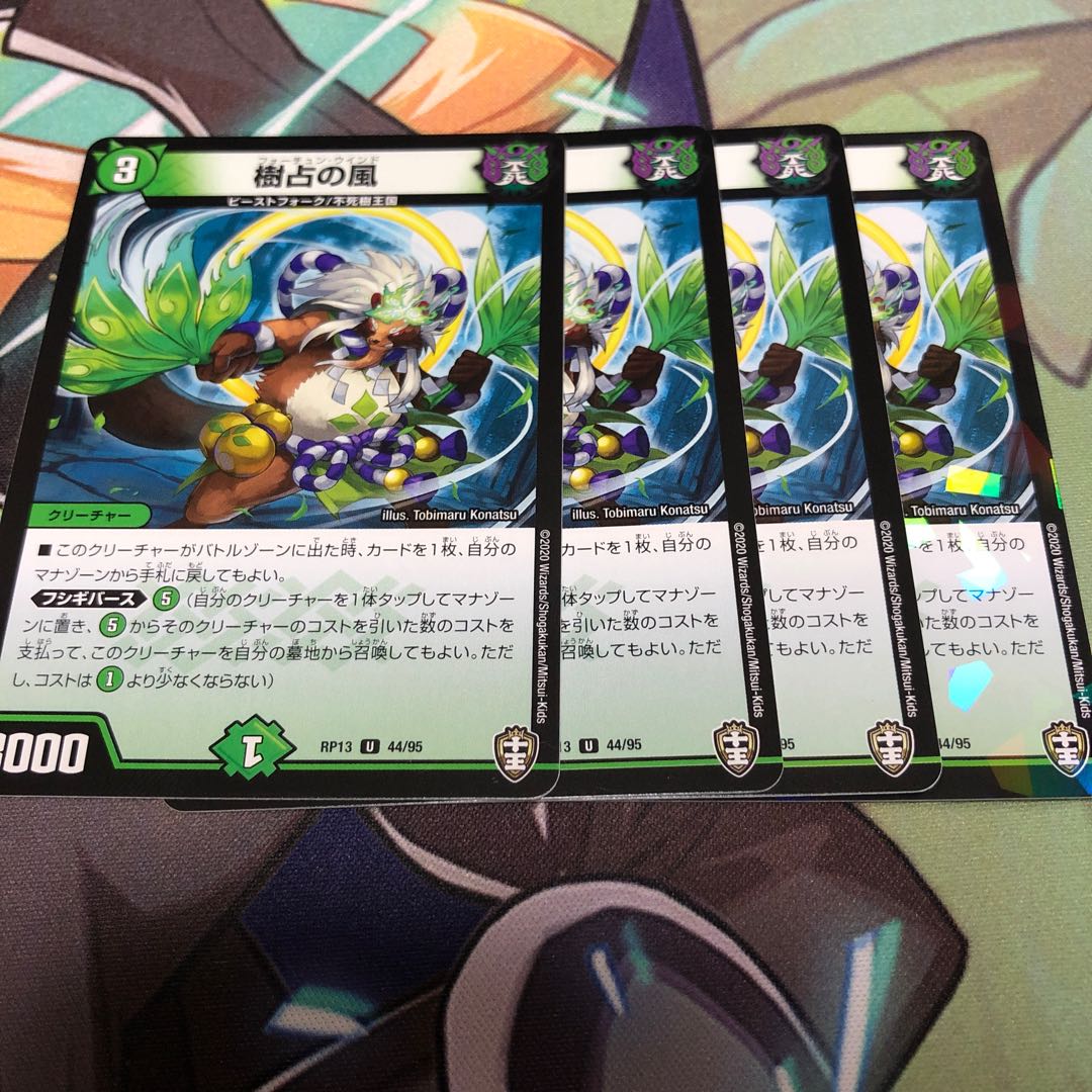 wind that blows from north to north-east during spring and summer along the coast of the Sea of Japan