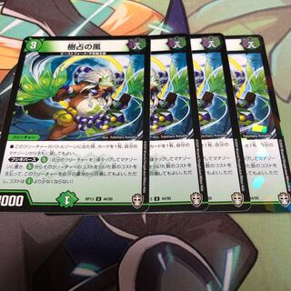 wind that blows from north to north-east during spring and summer along the coast of the Sea of Japan