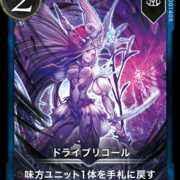 ドライブリコール2枚