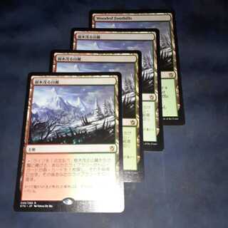 樹木茂る山麓4枚