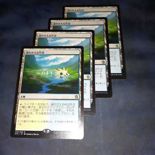 溢れかえる岸辺4枚