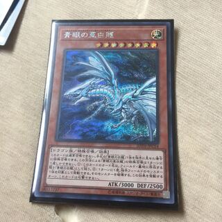 青眼の亜白龍 シークレット 美品
