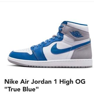 Nike Air Jordan 1 High OG "True Snubbull" 29cm