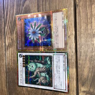 ナチュルビースト グローアップバルブ ゴルシク 1枚