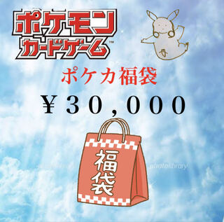 Welcome to POKEKA 30,000 yen FUKUEBUKUROSHI