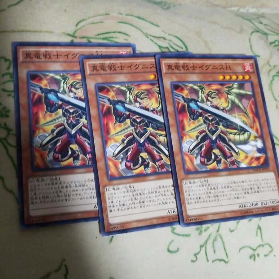 真竜戦士イグニスH