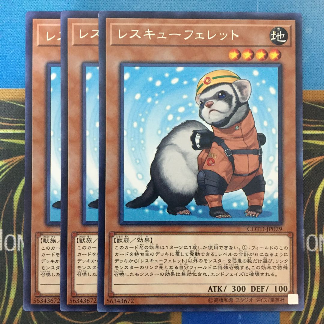 レスキューフェレット 3枚