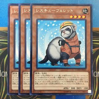 レスキューフェレット 3枚