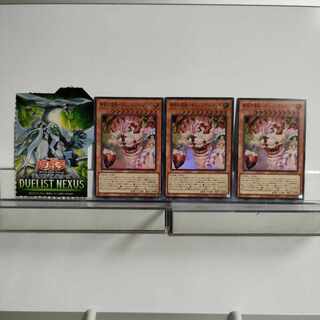 遊戯王　夢現の寝姫ーネムレリア・レアリゼ　スーパー　3枚セット　A＋