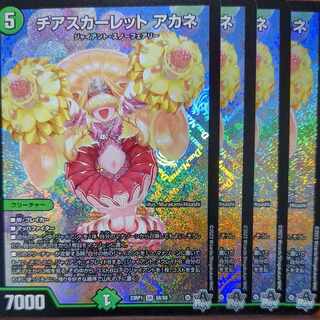 srsセット割引　チアスカーレットアカネ