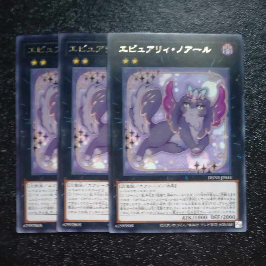 エピュアリィ・ノアール レア JP044✕3 【木林堂】