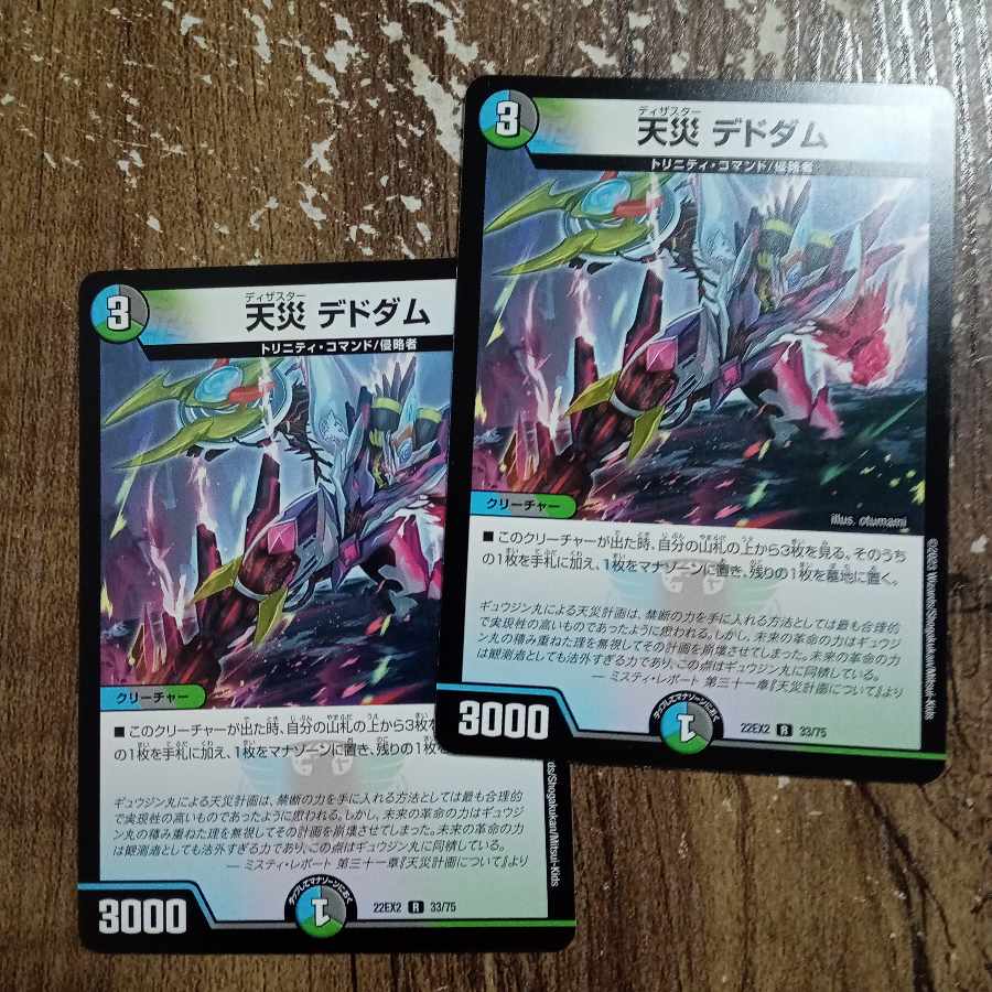 天災 デドダム R 33/75