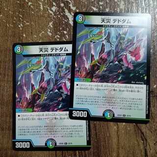 天災 デドダム R 33/75