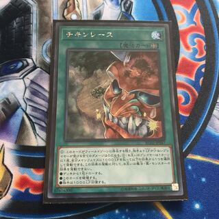 チキンレースシク