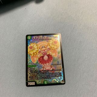 チアスカーレット　アカネ