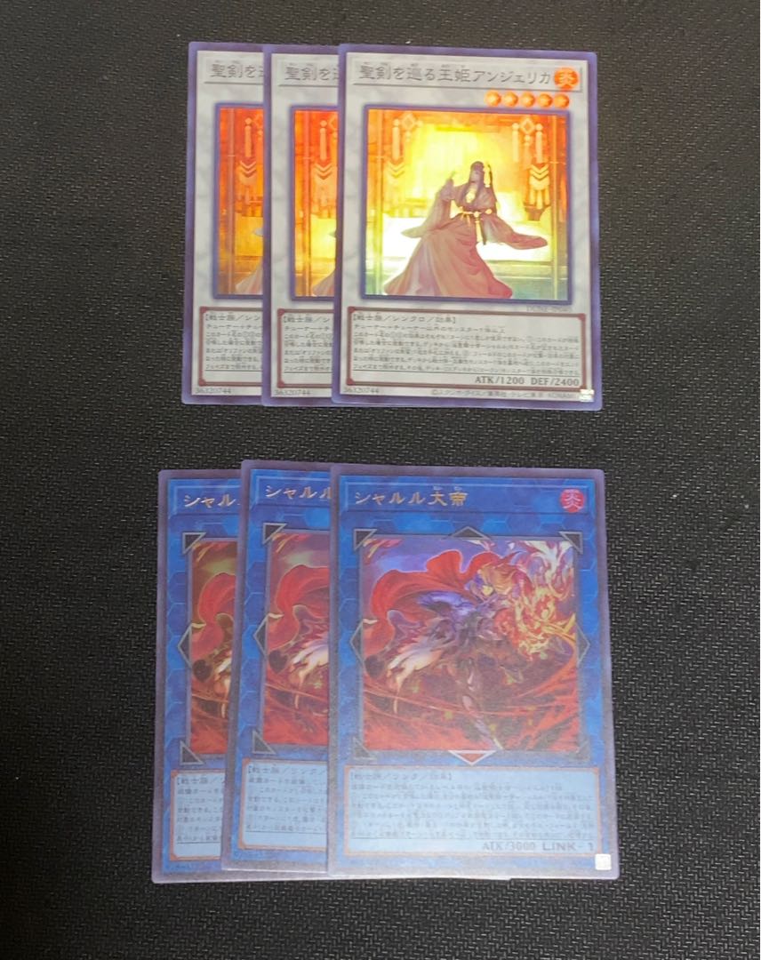 聖剣を巡る王姫アンジェリカ　シャルル大帝