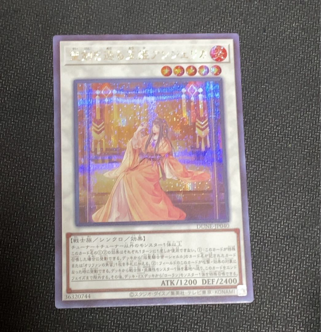 聖剣を巡る王姫アンジェリカ