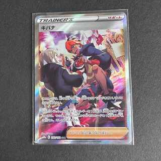 【s12a 237/172 SAR】【キバナSAR】