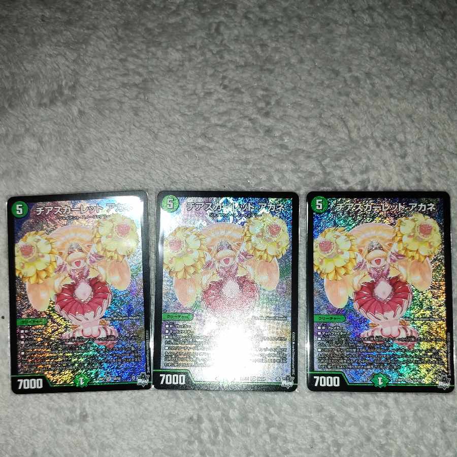 チアスカーレットアカネ