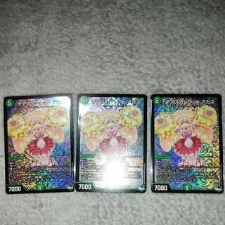 チアスカーレットアカネ