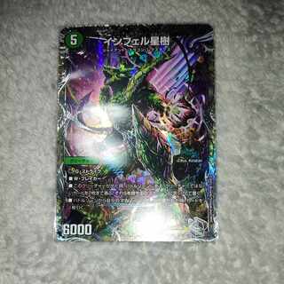 Infelix star tree (species of sedge, Infelix infelix)