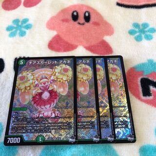 チアスカーレット　アカネ