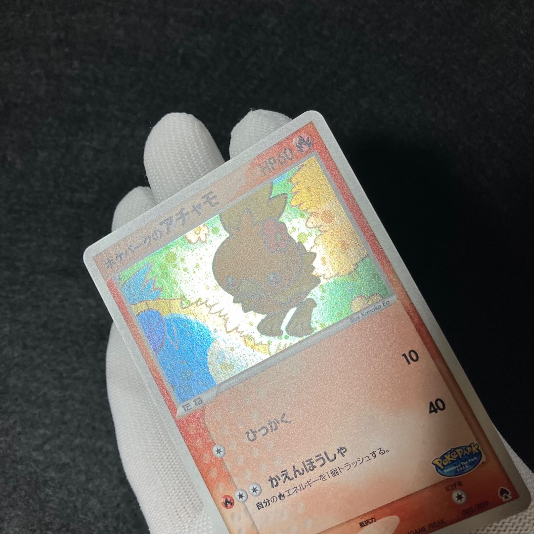 ポケパークのアチャモ キラ