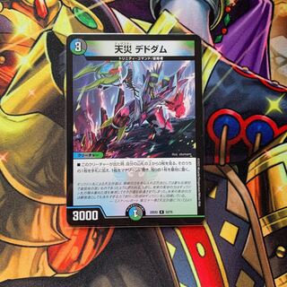 天災 デドダム R 33/75