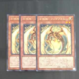 百檎龍-リンゴブルム レア JP029✕３　【木林堂】