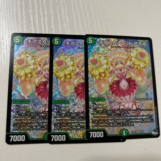 チアスカーレットアカネ　SRS8/S8 3枚